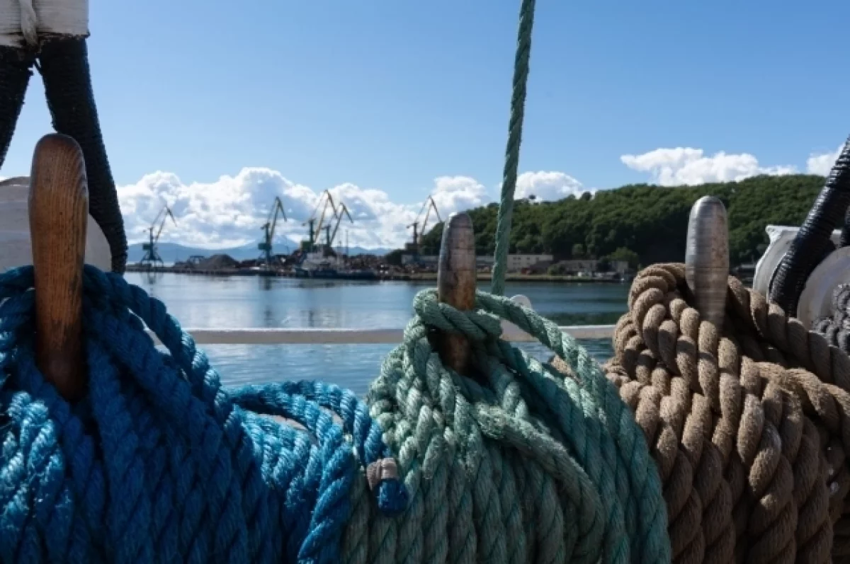 Корабли ВМФ РФ и китайских ВМС зашли на Камчатку для пополнения запасов