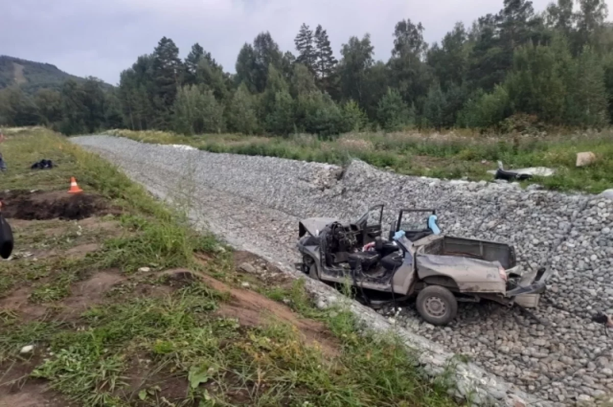 Из-за водителя пикапа семь человек попали в больницу на Алтае