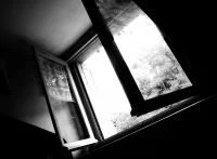 Жительница Павлодара выбросила двоих сыновей в окно пятого этажа.