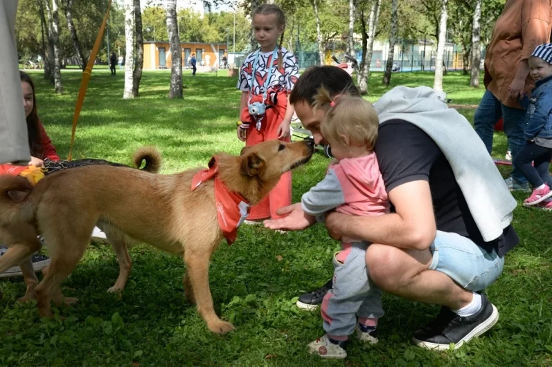 Гости, которые не готовы заводить питомца, могут оставить пожертвование для животных с помощью благотворительного сервиса mos.ru.