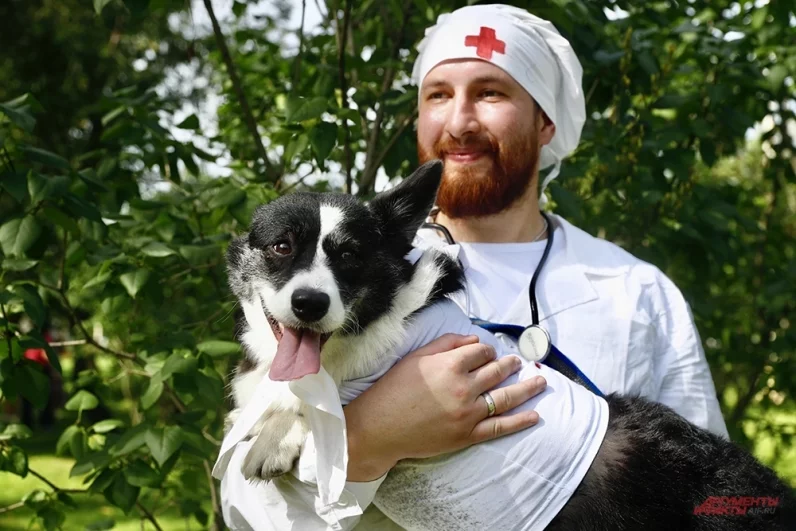 Медицинский тандем.