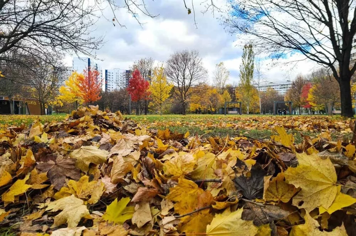 Дальше будет только теплее.