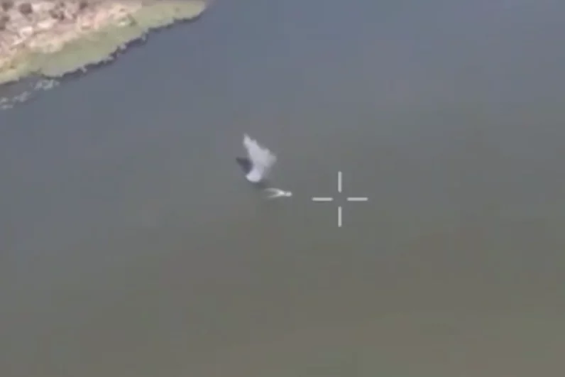 На перехват ДРГ ВСУ были направлены FPV-дроны.