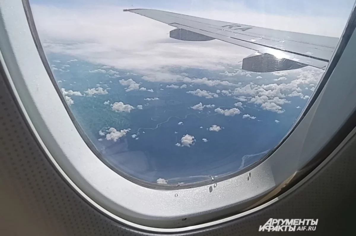 Бывший пилот Alaska Airlines признал вину в попытке отключить двигатели под воздействием грибов