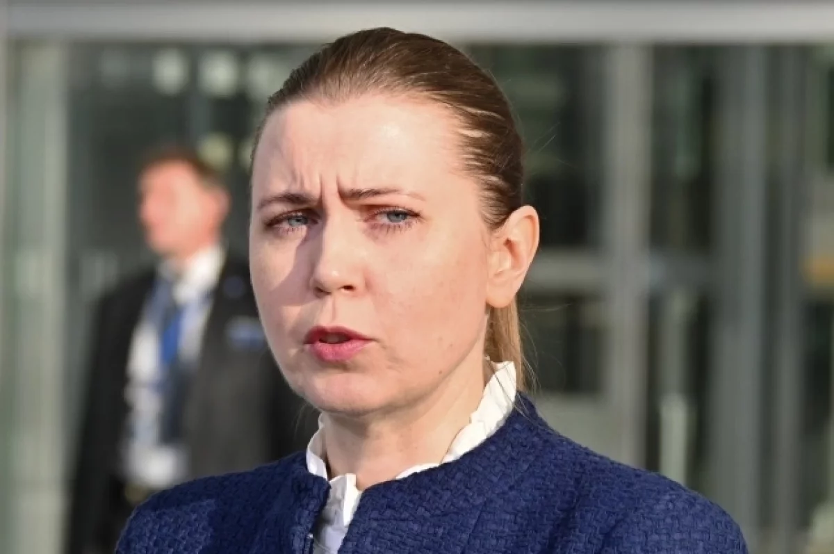 Глава Минобороны Литвы: появившиеся над Польшей БПЛА могли заблудиться