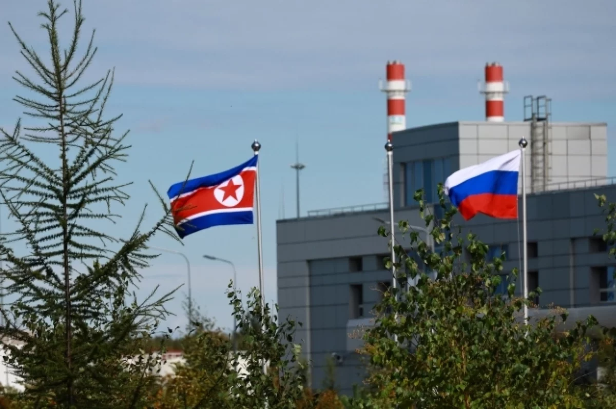 Эксперт Осетрова: КНДР взошла на новую ступень сотрудничества с Россией