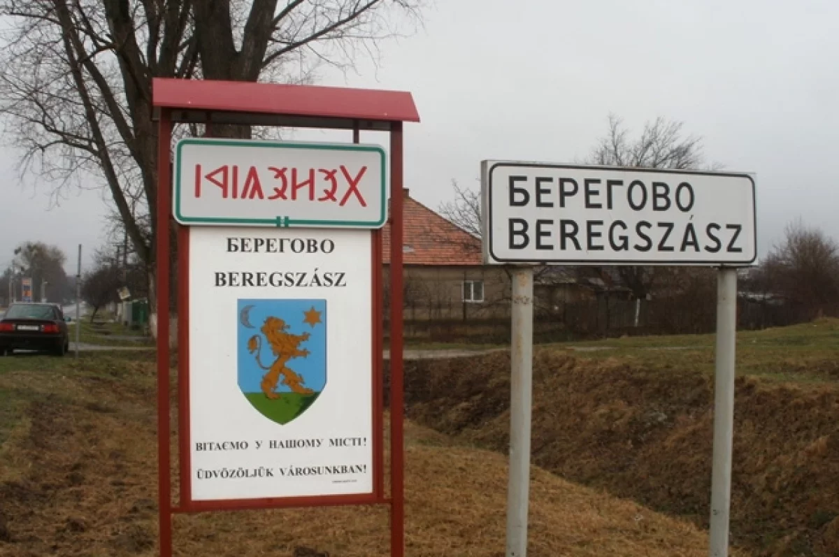 Политолог Безпалько: Венгрия претендует на часть Закарпатья Украины