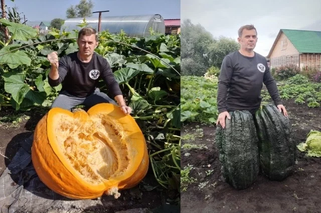 Алексей постоянно следит за своими растениями. 