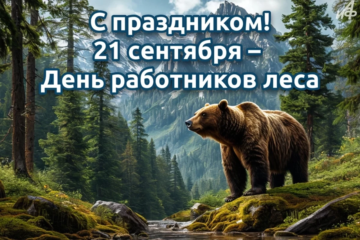 Яркие открытки и поздравления с Днем работников леса для настоящих лесников