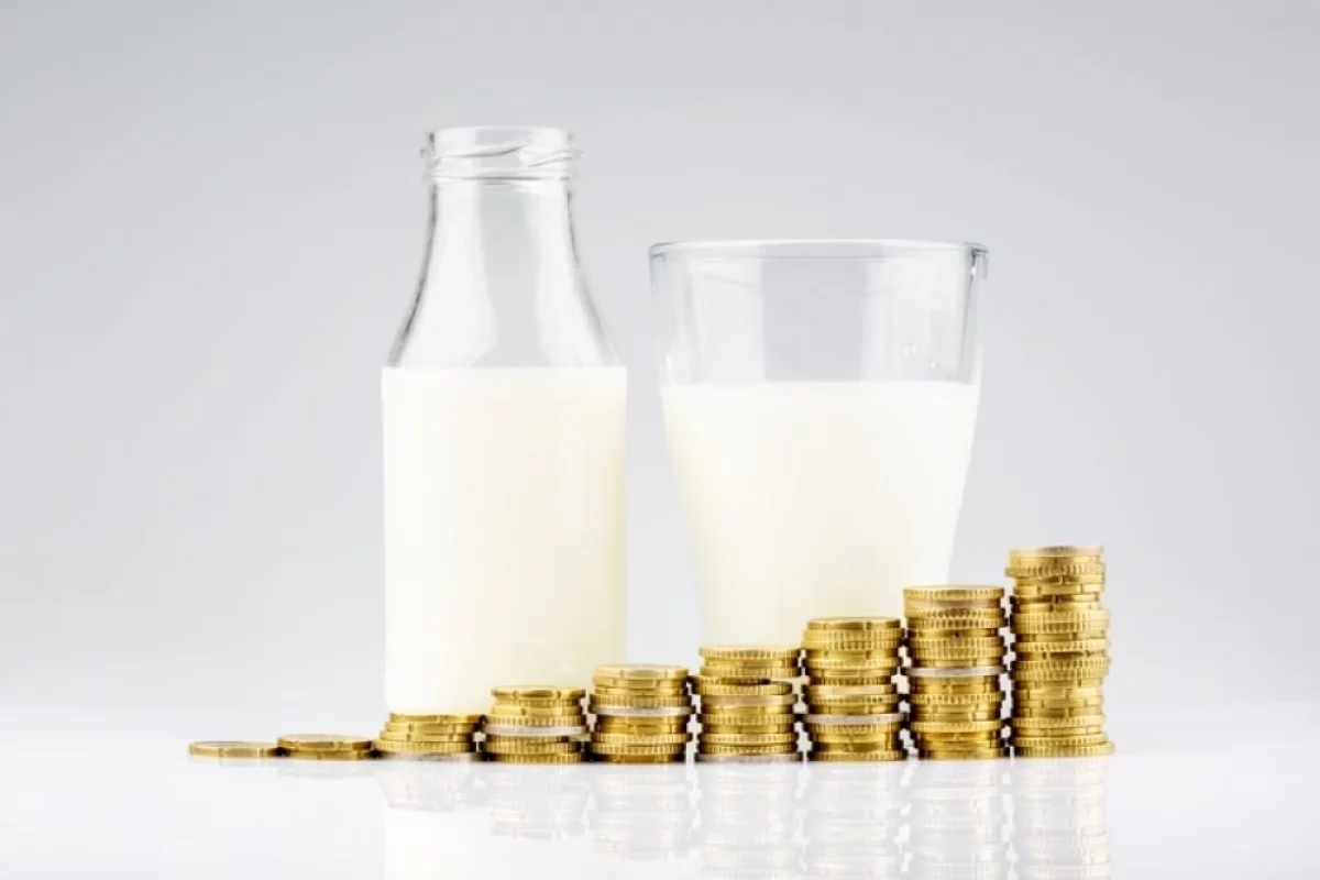Затраты растут. Эксперты рассказали, почему дорожают молочные продукты