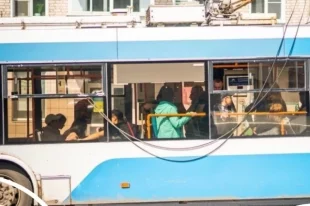 Автобусы остановились утром.