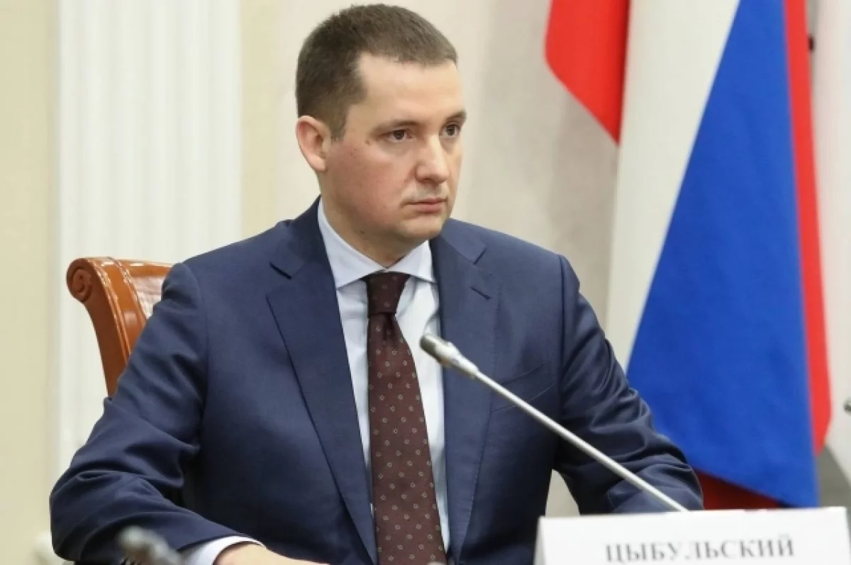 Цыбульский поблагодарил студентов, задержавших напавшего на педагогов