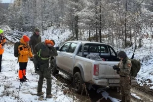 Поисковики уже отработали сотни километров лесного массива и лесных дорог.