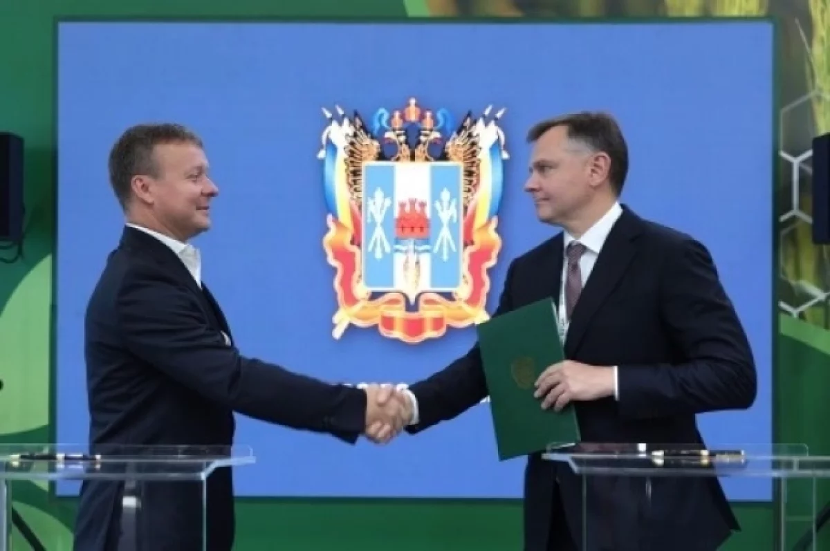 Новые инвестиции. «Золотая осень–2025» принесла Дону перспективные проекты