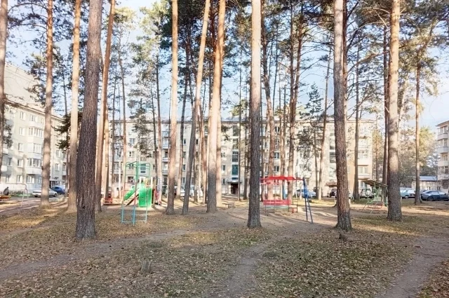 Детский городок на пр. Курчатова, где часто летом гулял 10-летний мальчик.