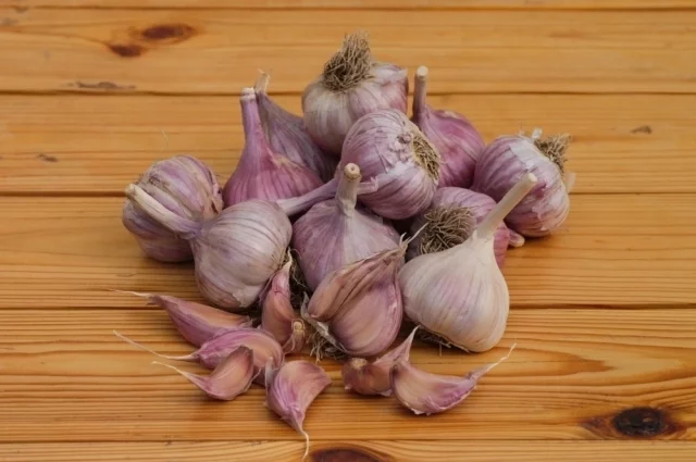 «Добрыня» универсален: хорош в свежих соусах и соленьях, отлично ведет себя при запекании целыми головками — зубки остаются собранными, вкус гармоничный. 