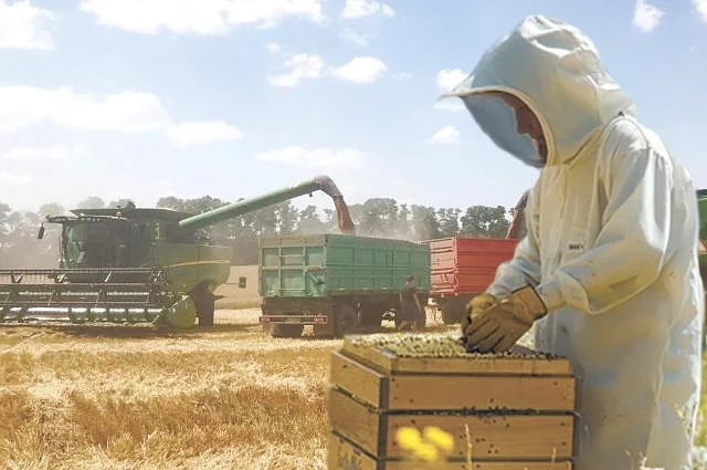 Если соблюдать закон, то у аграриев и пчеловодов никаких разногласий возникать не будет.