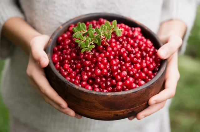 Клюква обладает мощнейшим антиоксидантным и противовоспалительным эффектом.