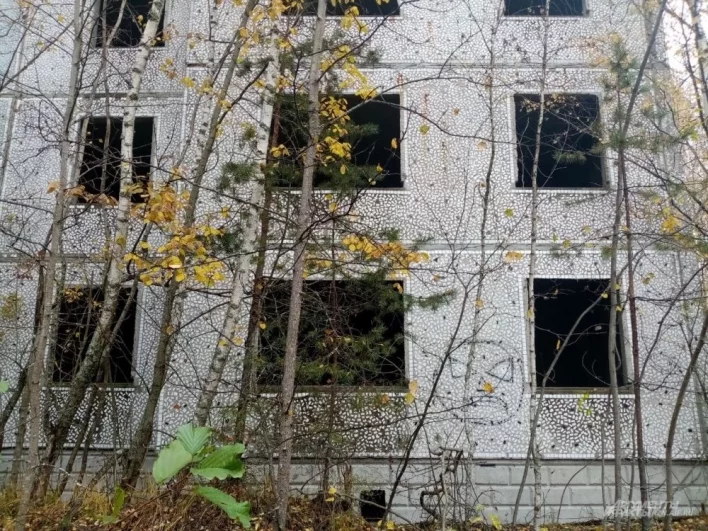 Шансов не восстановление заброшенных домов почти нет. Все решит собственник. Но пока никто не горит желание купить заброшки.