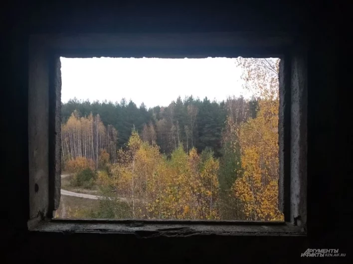 Представьте, что живёте в квартире с таким видом. Точно лучше, чем многочисленные бетонные городские коробки.