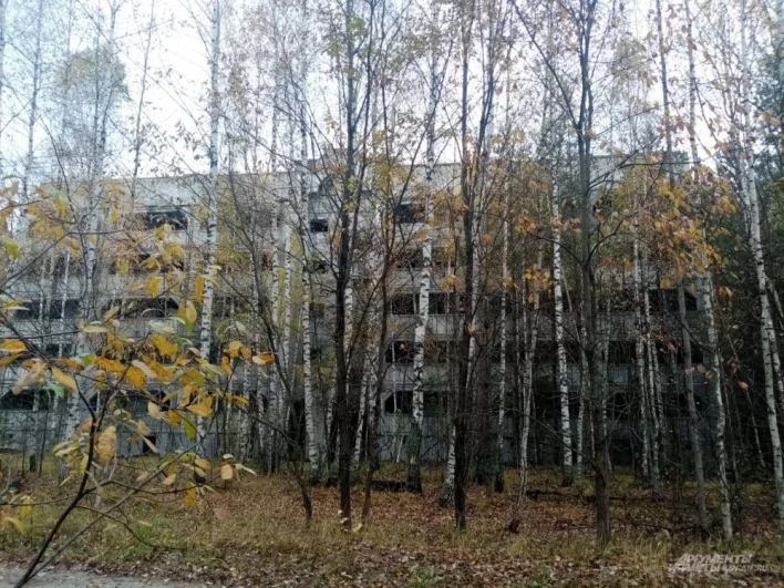 Ещё немного и лес полностью скроет от лишних глаз заброшенные здания.