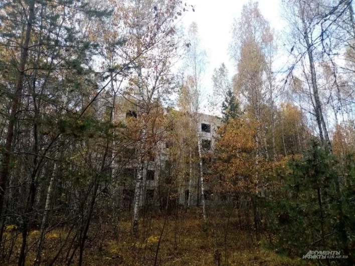 На самом деле, дома строили не в лесу. Деревья выросли уже позже, когда это место покинули люди.