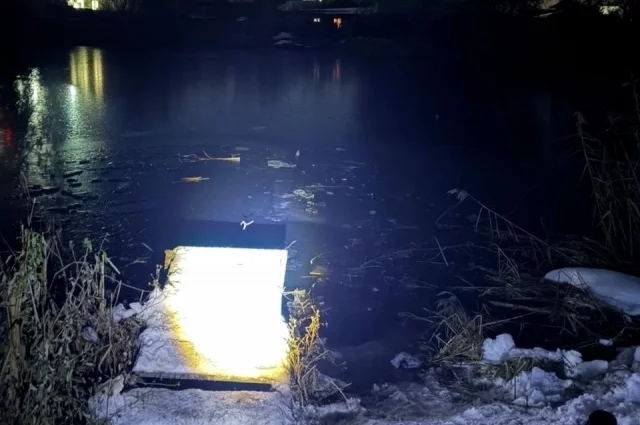 Дети ушли днем гулять и не вернулись домой.