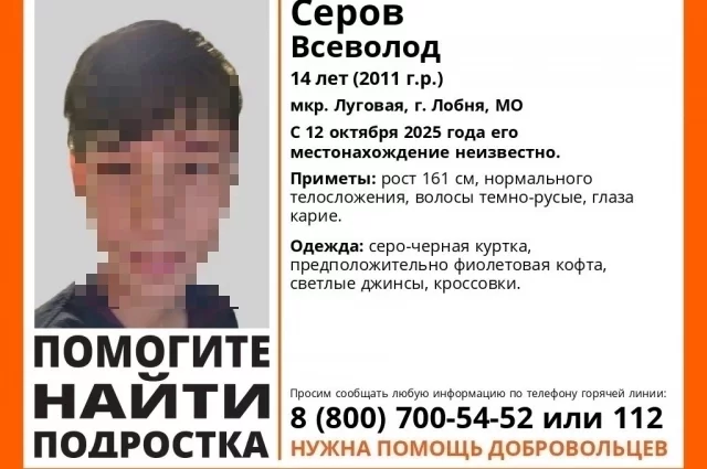 В Подмосковье продолжают искать 14-летнего Всеволода Серова.