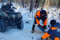 Усольцевых продолжают искать профессионалы.