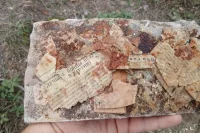 Фрагменты газеты, уложенной когда-то на дно цинка для патронов. 