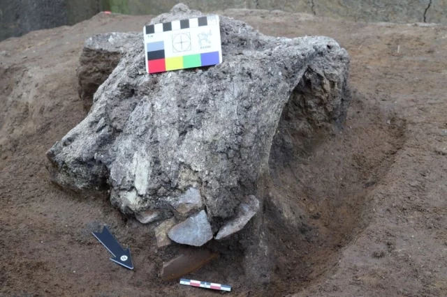 Сенсационные находки — это наборы кремневых орудий, спрятанные внутри черепов мамонта.