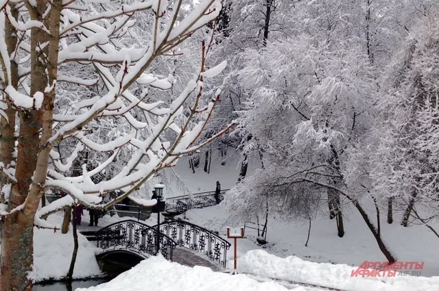 Наступление зимы, под которым мы обычно понимаем устойчивый снежный покров, предвидится не ранее второй половины ноября.