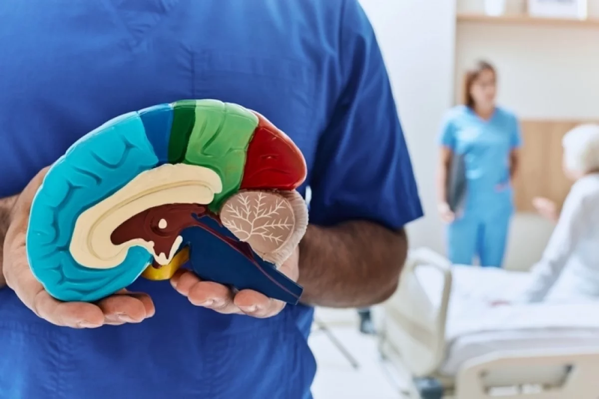 Что за болезнь? Все про Альцгеймера рассказал врач-гериатр Новоселов
Что за болезнь? Все про Альцгеймера рассказал врач-гериатр Новоселов