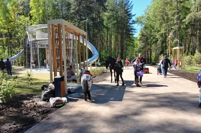 В местах с большим количеством людей животные могут быть небезопасны