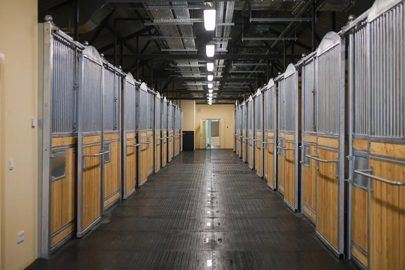 На территории ипподрома смогут разместится более тысячи лошадей.