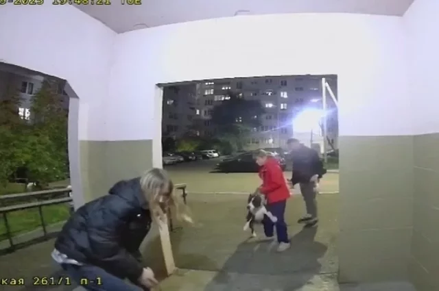 Момент, когда девочке удалось освободить руку из собачей пасти.