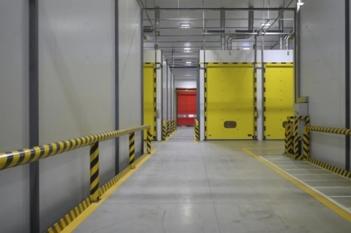 Фото для иллюстрации.