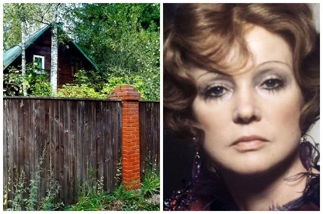 История «секретной дачи» — лишь часть этой драмы вокруг наследства Гурченко. 