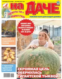 Сад мечты: топ-4 модных cтиля