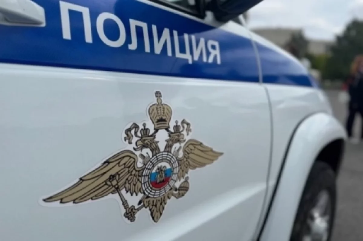 Криминалист Игнатов назвал цель похитителей людей в Петербурге