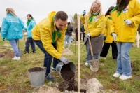 Высажено 3 000 деревьев и кустарников.