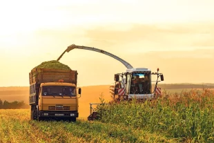 Новые комбайны ACROS 595 и F 2650 оснащены современной системой мониторинга и управления, которая значительно облегчает работу механизатора.