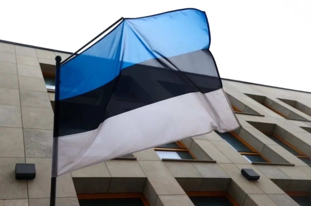 ERR: военные Эстонии сбили БПЛА у военного городка, но не смогли его найти