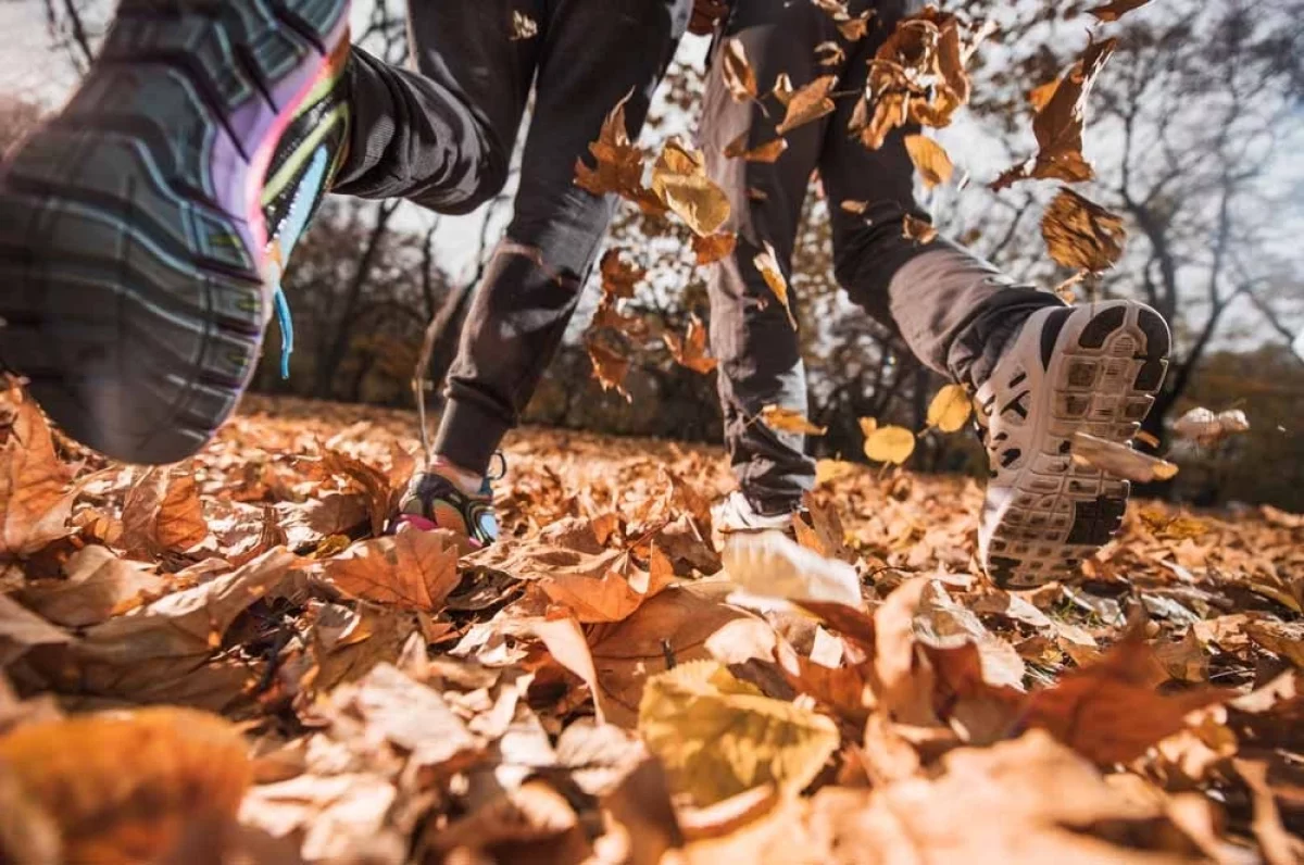 Удушье и слезы. Врач Бережанский объяснил, для кого опасны осенние листья