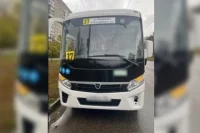 Под колёса ПАЗа попала семилетняя девочка.