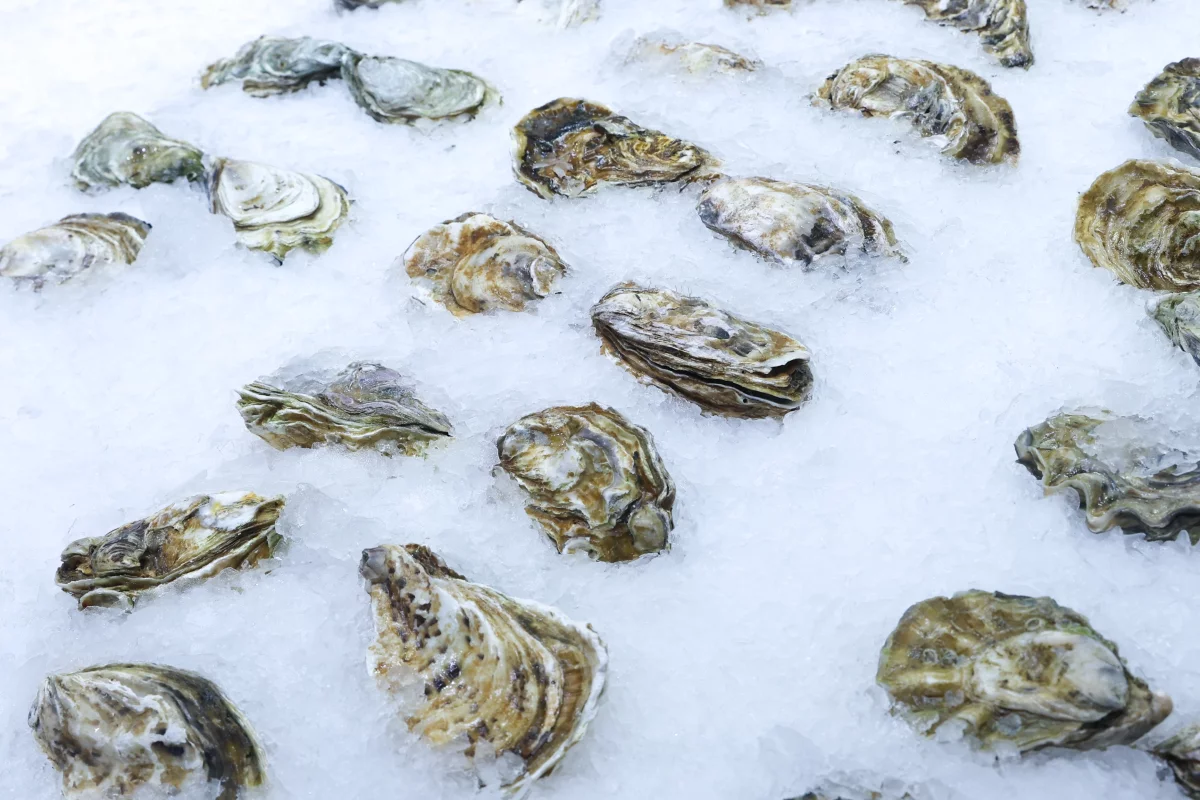 Малышева предупредила об опасности норовируса в устрицах и дала советы по безопасному употреблению Малышева предупредила об опасности норовируса в устрицах и дала советы по безопасному употреблению