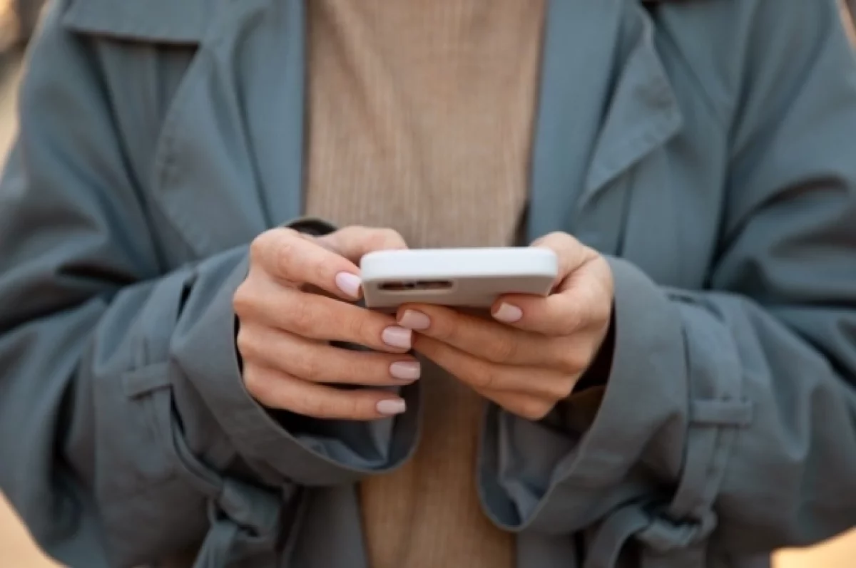 Wildberries предупредил о новой мошеннической схеме в соцсетях