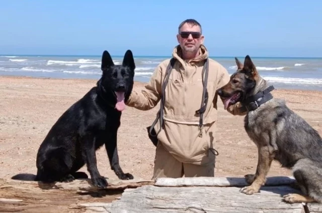 Кинолог объяснил, как вести себя с одичавшими собаками. 