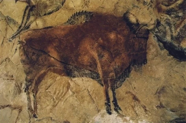 Степной зубр