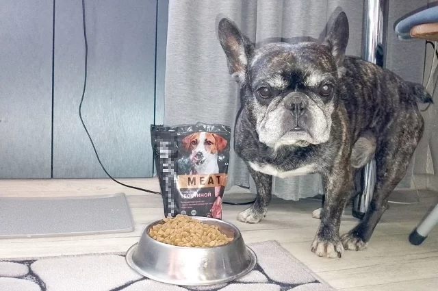 Некоторые собаки отказываются есть корм из дешёвых компонентов.